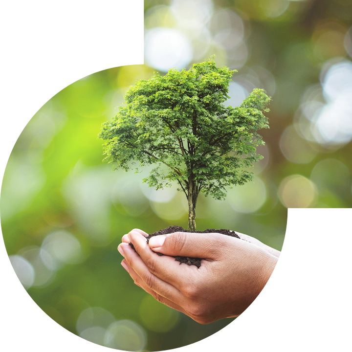 关怀人类、文化、环境与社会