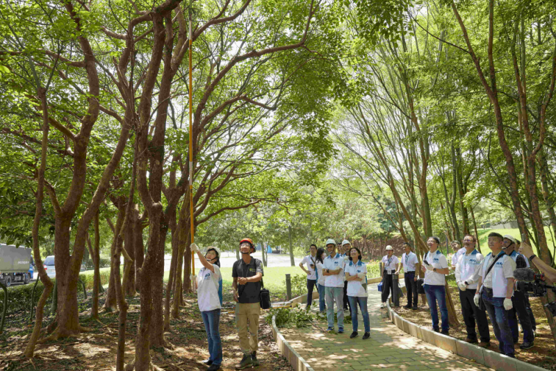 藝師教導大家認識樹木、檢查樹的健康狀況，學習修枝及碎枝覆土